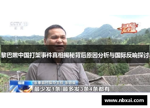 黎巴嫩中国打架事件真相揭秘背后原因分析与国际反响探讨